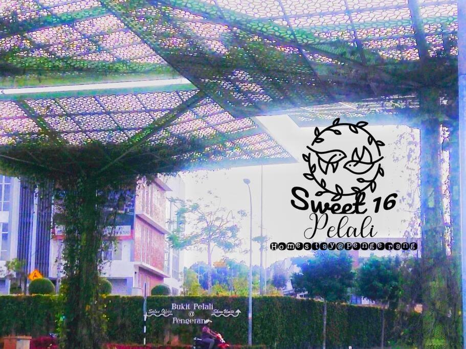 Sweet 16 Pelali Homestay פנגרנג מראה חיצוני תמונה