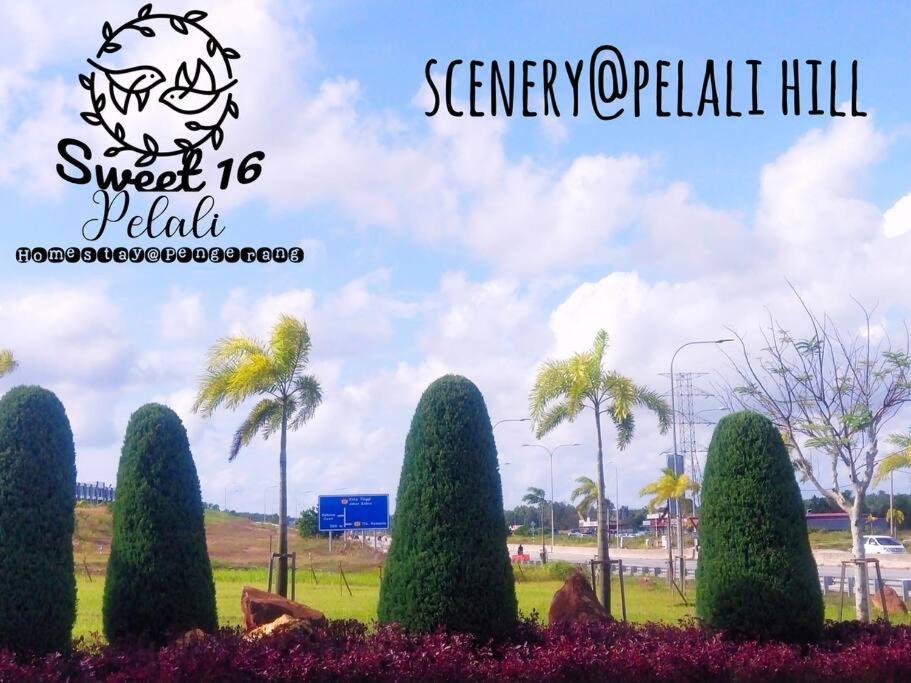 Sweet 16 Pelali Homestay פנגרנג מראה חיצוני תמונה